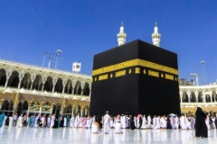 5a71e95cd3806f1f706e6ebd